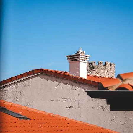 - Nuevo En Centro Llanes