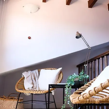 Apartment - Nuevo En Centro